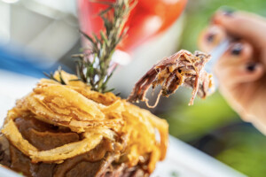 Pulled Pork Pulled Pork