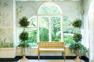 Lobby window Lobby window