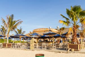 Restaurant Marketing Company New York