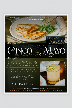 Cinco de mayo instagram promo